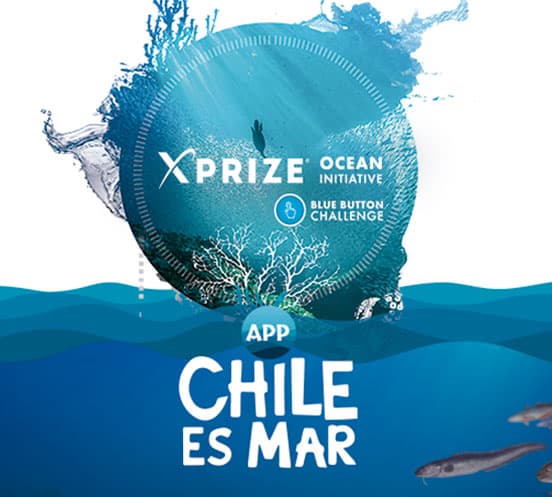 We won! XPRIZE awards us the prize to our team.